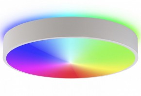 Накладной светильник Natali Kovaltseva MODERN LED LAMPS 81105/2C в Салехарде - salekhard.ok-mebel.com | фото