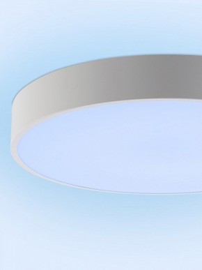 Накладной светильник Natali Kovaltseva MODERN LED LAMPS 81105/2C в Салехарде - salekhard.ok-mebel.com | фото 12
