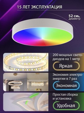 Накладной светильник Natali Kovaltseva MODERN LED LAMPS 81105/2C в Салехарде - salekhard.ok-mebel.com | фото 6