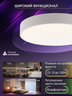 Накладной светильник Natali Kovaltseva MODERN LED LAMPS 81105/2C в Салехарде - salekhard.ok-mebel.com | фото 7
