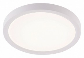 Накладной светильник Natali Kovaltseva PLAIN LED LAMPS 81113/1C в Салехарде - salekhard.ok-mebel.com | фото