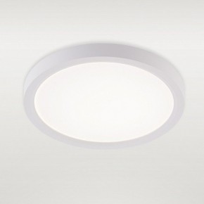 Накладной светильник Natali Kovaltseva PLAIN LED LAMPS 81113/1C в Салехарде - salekhard.ok-mebel.com | фото 2