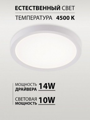 Накладной светильник Natali Kovaltseva PLAIN LED LAMPS 81113/1C в Салехарде - salekhard.ok-mebel.com | фото 4
