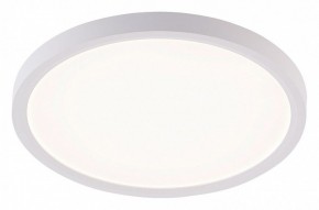 Накладной светильник Natali Kovaltseva PLAIN LED LAMPS 81113/2C в Салехарде - salekhard.ok-mebel.com | фото