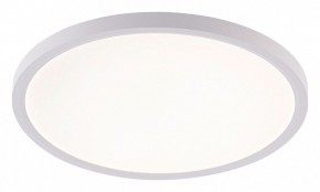 Накладной светильник Natali Kovaltseva PLAIN LED LAMPS 81113/3C в Салехарде - salekhard.ok-mebel.com | фото