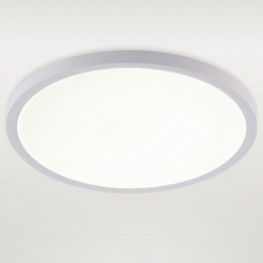 Накладной светильник Natali Kovaltseva PLAIN LED LAMPS 81113/3C в Салехарде - salekhard.ok-mebel.com | фото 2