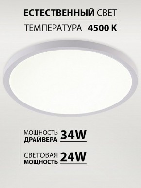 Накладной светильник Natali Kovaltseva PLAIN LED LAMPS 81113/3C в Салехарде - salekhard.ok-mebel.com | фото 3