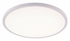 Накладной светильник Natali Kovaltseva PLAIN LED LAMPS 81113/5C в Салехарде - salekhard.ok-mebel.com | фото