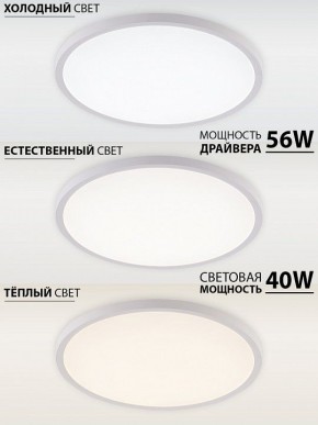 Накладной светильник Natali Kovaltseva PLAIN LED LAMPS 81113/5C в Салехарде - salekhard.ok-mebel.com | фото 3