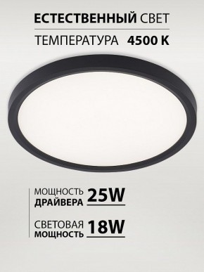 Накладной светильник Natali Kovaltseva PLAIN LED LAMPS 81114/2C в Салехарде - salekhard.ok-mebel.com | фото 3