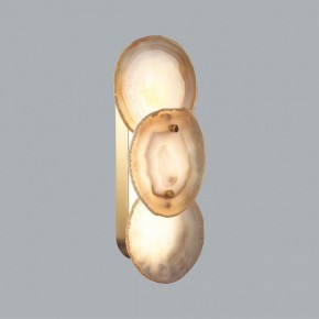 Накладной светильник Odeon Light Agate 7065/10WL в Салехарде - salekhard.ok-mebel.com | фото 2