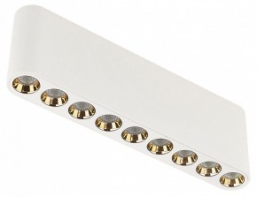 Накладной светильник Odeon Light Small 7091/21CL в Салехарде - salekhard.ok-mebel.com | фото