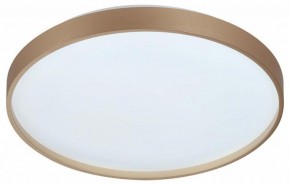 Накладной светильник Sonex Gaby 7783/DL в Салехарде - salekhard.ok-mebel.com | фото 4