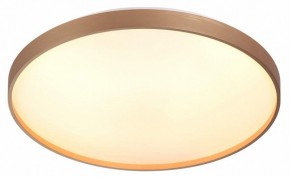 Накладной светильник Sonex Gaby 7783/EL в Салехарде - salekhard.ok-mebel.com | фото 5