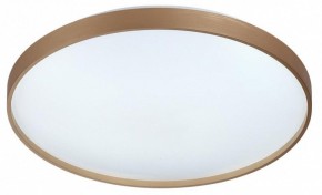 Накладной светильник Sonex Gaby 7783/EL в Салехарде - salekhard.ok-mebel.com | фото 6