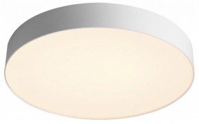 Накладной светильник Sonex Optima 7779/EL в Салехарде - salekhard.ok-mebel.com | фото 3