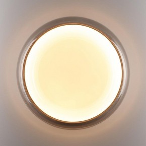 Накладной светильник Sonex PORTMAN 7777/DLN в Салехарде - salekhard.ok-mebel.com | фото 6