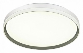 Накладной светильник Sonex Savi 7631/DL в Салехарде - salekhard.ok-mebel.com | фото 5