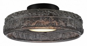Накладной светильник ST-Luce ANTIKE SL6143.412.01 в Салехарде - salekhard.ok-mebel.com | фото 2