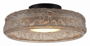 Накладной светильник ST-Luce ANTIKE SL6143.422.01 в Салехарде - salekhard.ok-mebel.com | фото 3