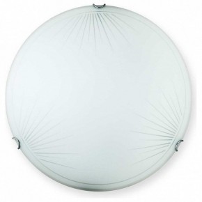 Накладной светильник TopLight Wifa TL9142Y-00WH в Салехарде - salekhard.ok-mebel.com | фото