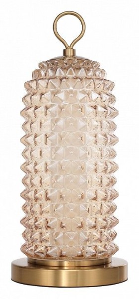 Настольная лампа декоративная ST-Luce SAGUARO SL6144.304.01 в Салехарде - salekhard.ok-mebel.com | фото