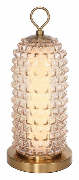 Настольная лампа декоративная ST-Luce SAGUARO SL6144.304.01 в Салехарде - salekhard.ok-mebel.com | фото 2