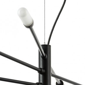 Подвесная люстра Lightstar Ragno 733187 в Салехарде - salekhard.ok-mebel.com | фото 3