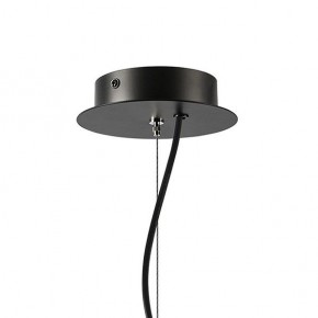 Подвесная люстра Lightstar Ragno 733187 в Салехарде - salekhard.ok-mebel.com | фото 7