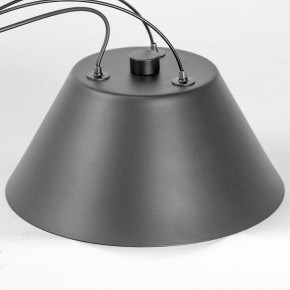 Подвесная люстра Lussole Hopkins LSP-7408 в Салехарде - salekhard.ok-mebel.com | фото 7
