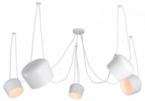 Подвесная люстра Lussole Shirley LSP-8175 в Салехарде - salekhard.ok-mebel.com | фото
