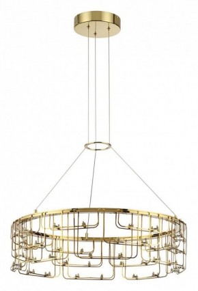 Подвесная люстра Odeon Light ZAHA 7060/44L в Салехарде - salekhard.ok-mebel.com | фото 2