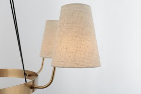 Подвесная люстра Rivoli Michele Б0061952 в Салехарде - salekhard.ok-mebel.com | фото 6
