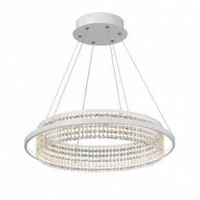 Подвесная люстра Vitaluce V5400 V5400-0/1S в Салехарде - salekhard.ok-mebel.com | фото 2