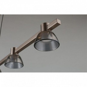 Подвесной светильник Aployt Rezeda APL.788.03.06 в Салехарде - salekhard.ok-mebel.com | фото 4
