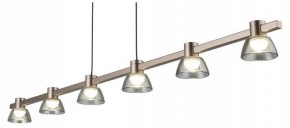 Подвесной светильник Aployt Rezeda APL.788.03.06 в Салехарде - salekhard.ok-mebel.com | фото 7