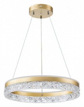Подвесной светильник Arte Lamp Apollo A2549SP-75GO в Салехарде - salekhard.ok-mebel.com | фото 2