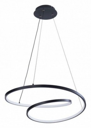 Подвесной светильник Arte Lamp Millo A3893SP-30BK в Салехарде - salekhard.ok-mebel.com | фото 2
