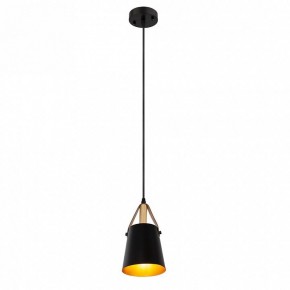 Подвесной светильник Arte Lamp Thomas A7032SP-1BK в Салехарде - salekhard.ok-mebel.com | фото 3