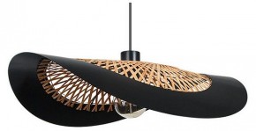 Подвесной светильник Arte Lamp Woodstock A7059SP-1BK в Салехарде - salekhard.ok-mebel.com | фото