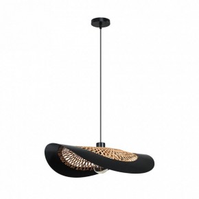 Подвесной светильник Arte Lamp Woodstock A7059SP-1BK в Салехарде - salekhard.ok-mebel.com | фото 2