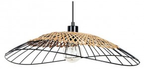 Подвесной светильник Arte Lamp Woodstock A7061SP-1BK в Салехарде - salekhard.ok-mebel.com | фото