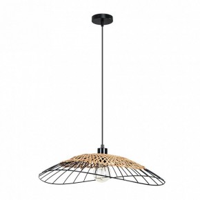Подвесной светильник Arte Lamp Woodstock A7061SP-1BK в Салехарде - salekhard.ok-mebel.com | фото 2