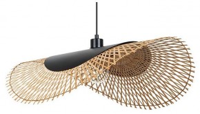 Подвесной светильник Arte Lamp Woodstock A7063SP-1BK в Салехарде - salekhard.ok-mebel.com | фото