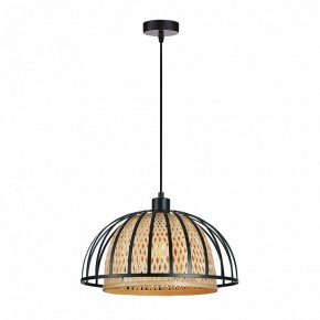 Подвесной светильник Arte Lamp Woodstock A7071SP-1BK в Салехарде - salekhard.ok-mebel.com | фото