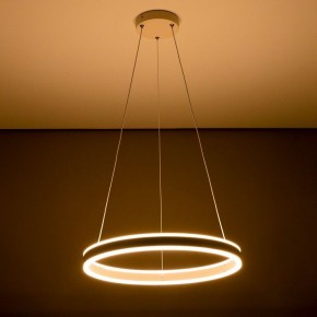 Подвесной светильник Citilux Дуэт CL719500 в Салехарде - salekhard.ok-mebel.com | фото 11
