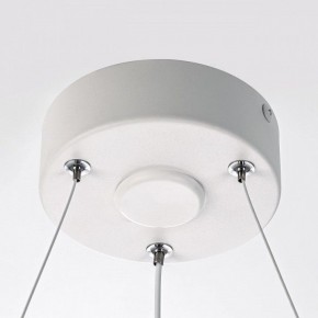 Подвесной светильник Citilux Trio CL215B050 в Салехарде - salekhard.ok-mebel.com | фото 10