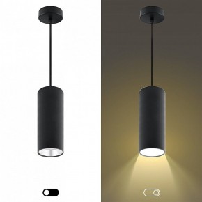 Подвесной светильник Эра  PL12 GX53 BK/SL в Салехарде - salekhard.ok-mebel.com | фото 5