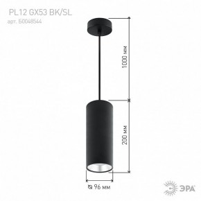 Подвесной светильник Эра  PL12 GX53 BK/SL в Салехарде - salekhard.ok-mebel.com | фото 8