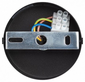 Подвесной светильник Эра  PL12 GX53 BK/SL в Салехарде - salekhard.ok-mebel.com | фото 9